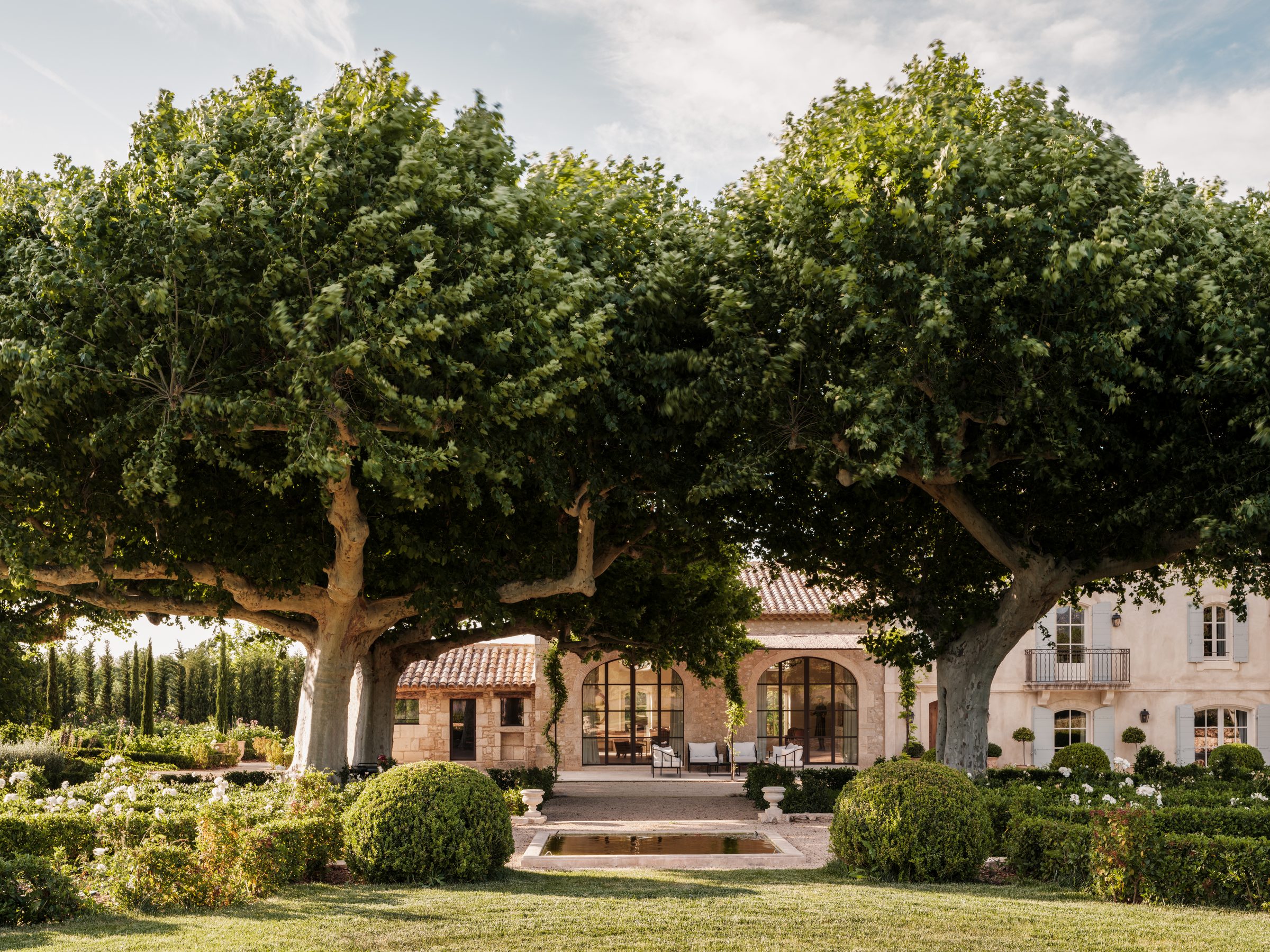 Domaine sous le grand platane, lumière douce